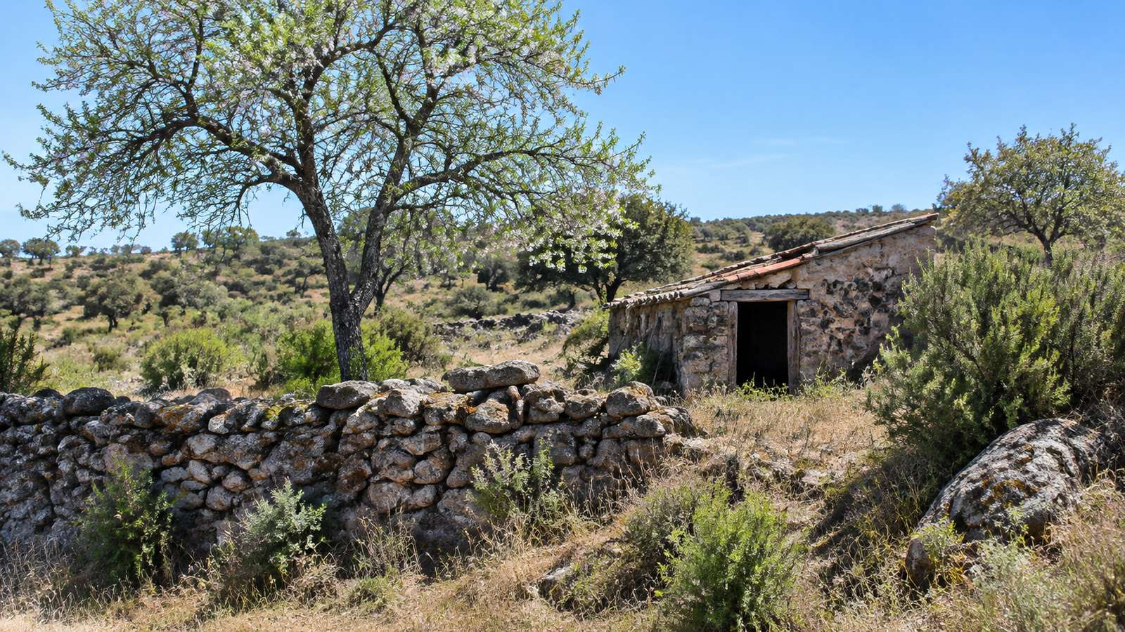 Fincas rústicas baratas en Extremadura: dónde encontrarlas y qué revisar
