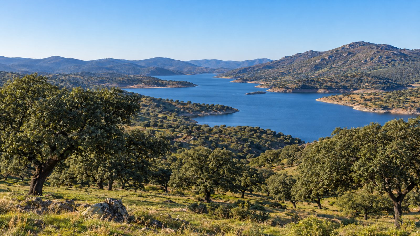 Riserva della Biosfera La Siberia: cosa implica comprare una tenuta all'interno