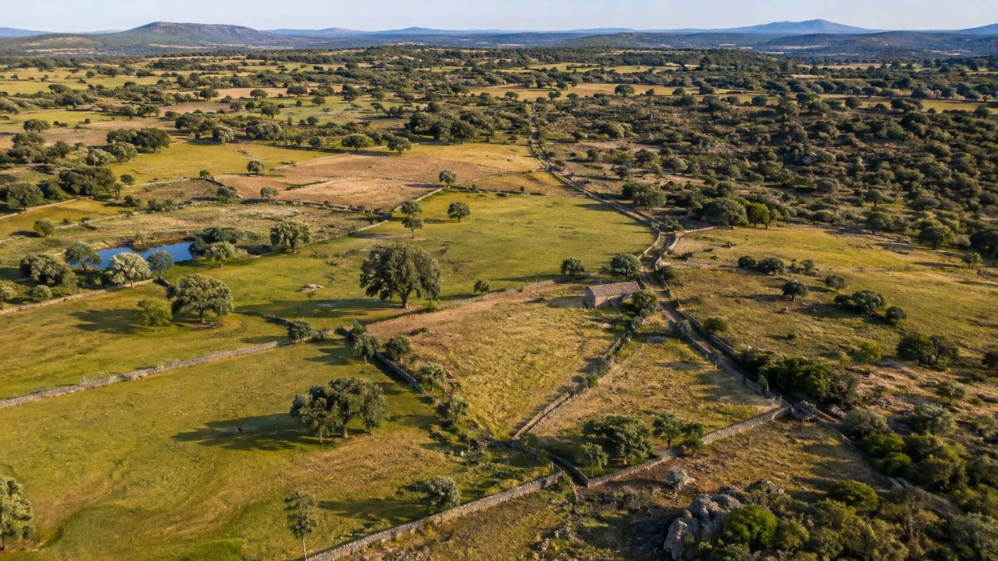 Nota simple, Catastro y SIGPAC: cómo comprobar una finca antes de comprar