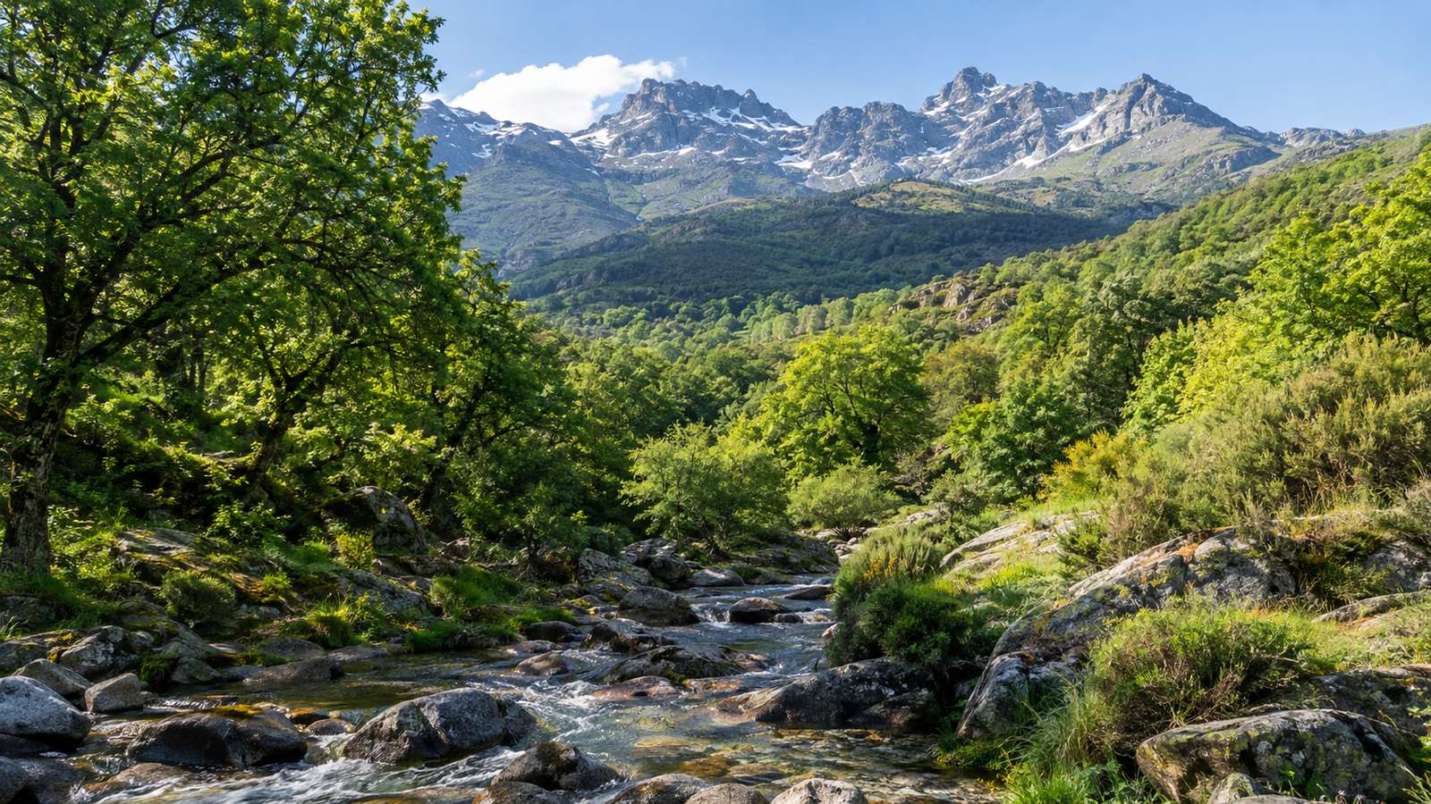 Comprar finca en La Vera y el Valle del Tiétar: guía completa