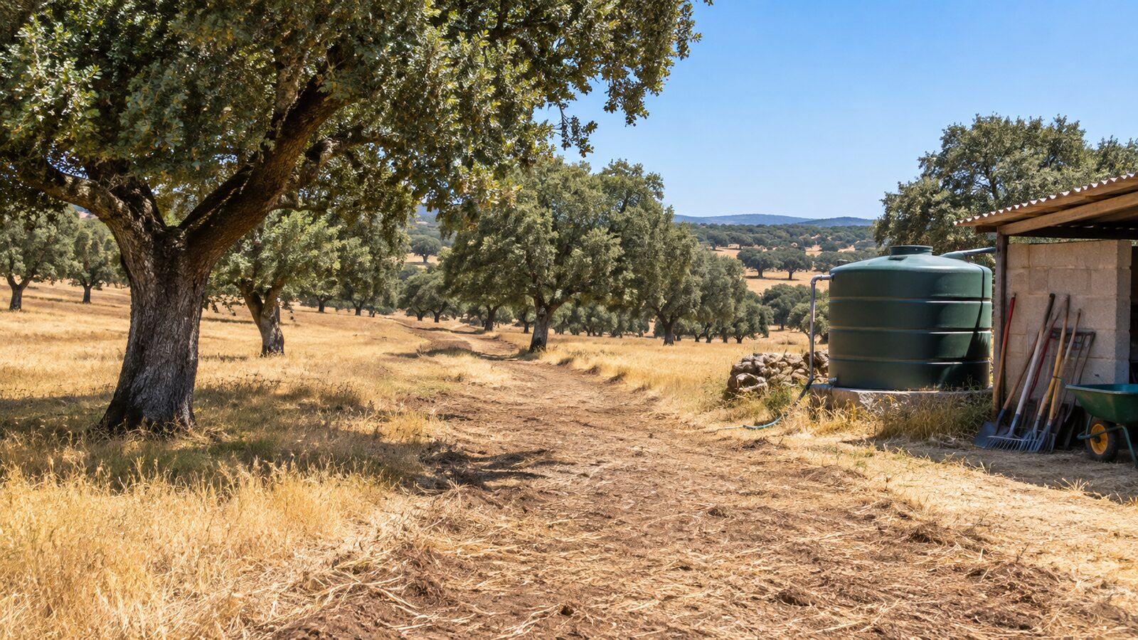 Prevención de incendios en una finca de Extremadura: qué debe hacer el propietario