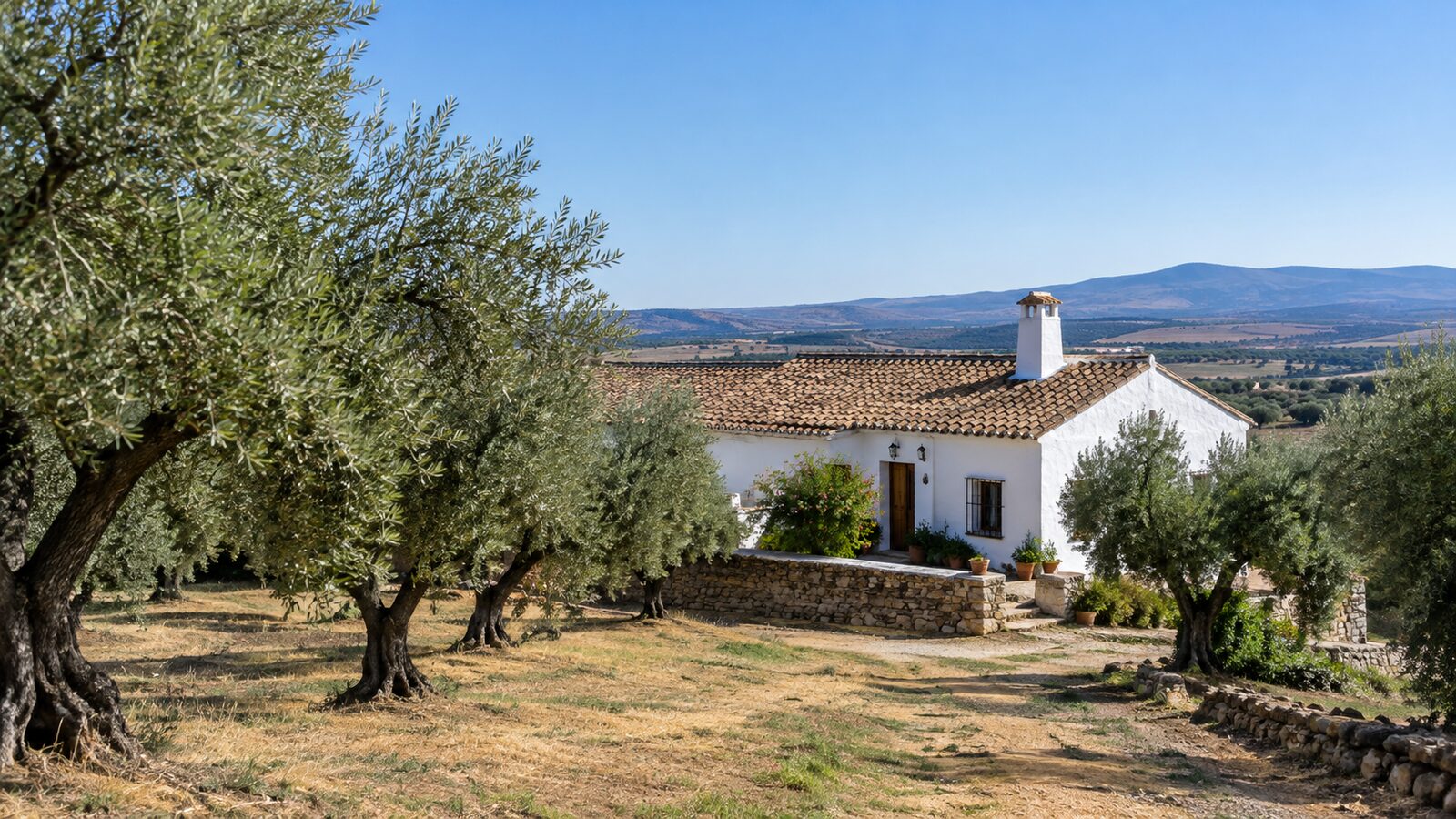 Jährliche Kosten des Besitzes eines Landguts in Extremadura: IBI, Versicherungen, Versorgung und Instandhaltung