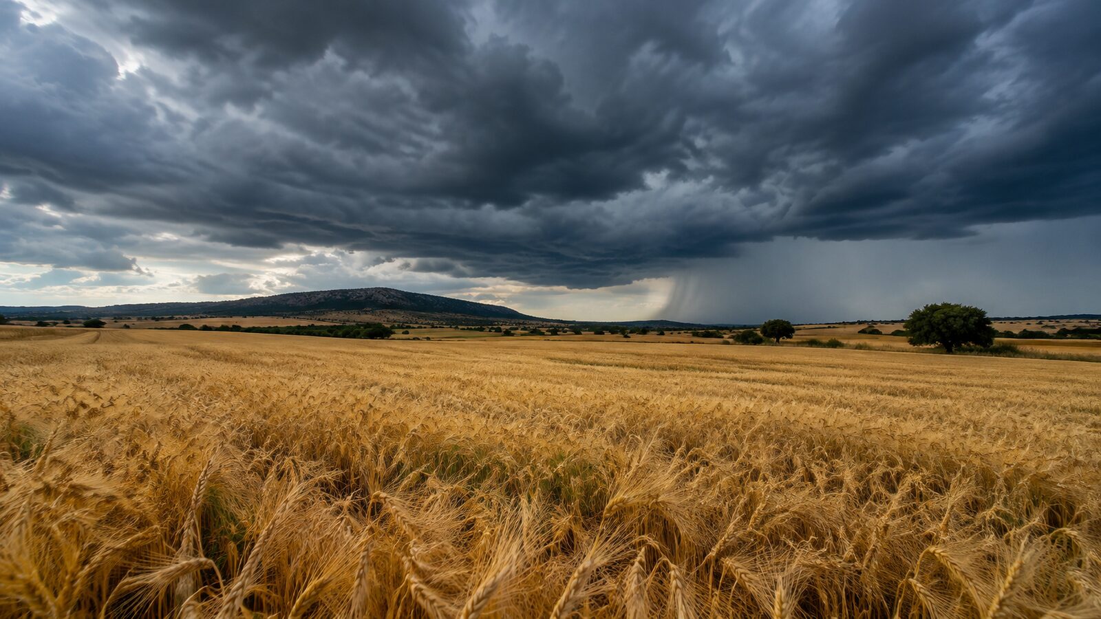 Versicherung eines Landguts in Extremadura: Agrarversicherung, Gebäudeversicherung und was jede abdeckt