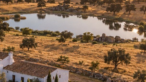 Fincas en La Siberia extremeña: embalses, monte y precios bajos