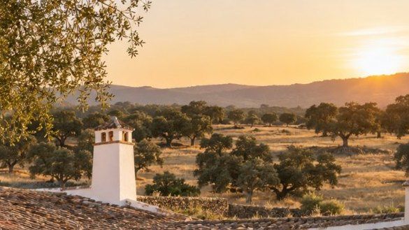 Heredar una finca rústica en Extremadura: impuestos, plazos y reparto