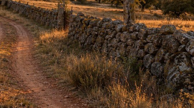 Impuestos de comprar una finca rústica en Extremadura: ITP, IVA y gastos